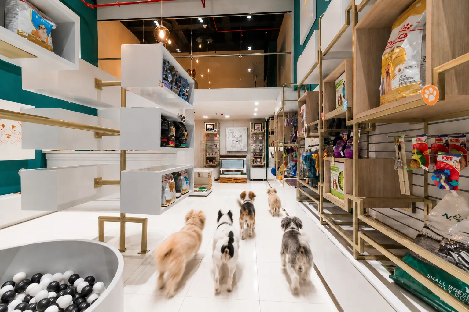 El primer nivel reúne productos y servicios para mascotas